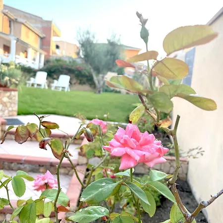 דירה Rosa's House - Zona Ospedaliera קליארי