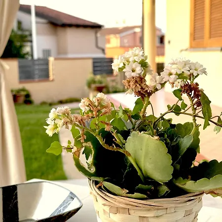 Rosa's House - Zona Ospedaliera Cagliari